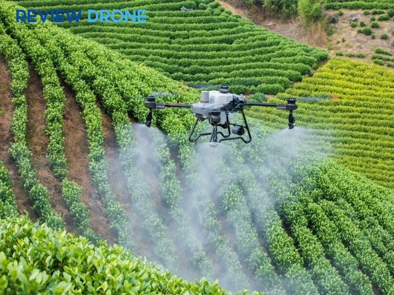 Kỹ thuật phun thuốc bằng công nghệ máy bay (Drone)