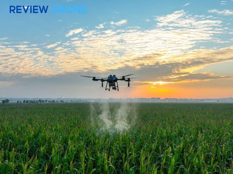 Đặc điểm kỹ thuật cần ưu tiên cho cây ăn quả