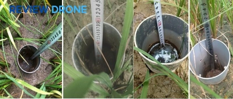 Kỹ thuật quản lý nước theo phương pháp ướt khô xen kẽ (AWD) Kỹ thuật quản lý nước theo phương pháp ướt khô xen kẽ (AWD)