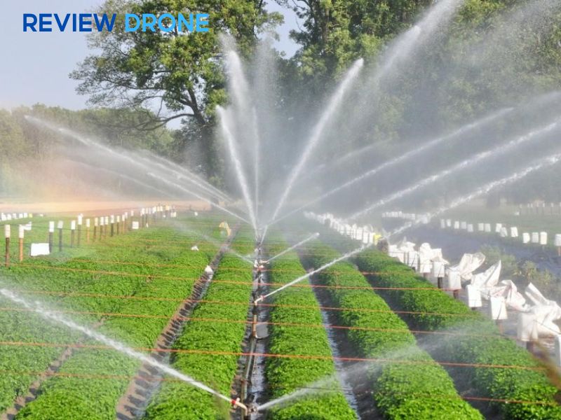 ứng dụng công nghệ cao trong trồng trọt