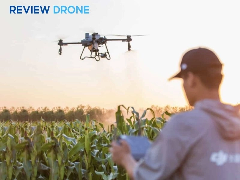 Kỹ thuật phun thuốc cho ngô đạt hiệu quả tối ưu Kỹ thuật phun thuốc cho ngô đạt hiệu quả tối ưu