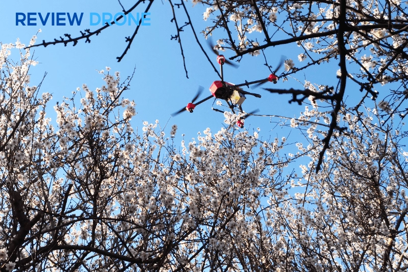 So sánh với các thương hiệu khác (ví dụ DJI)