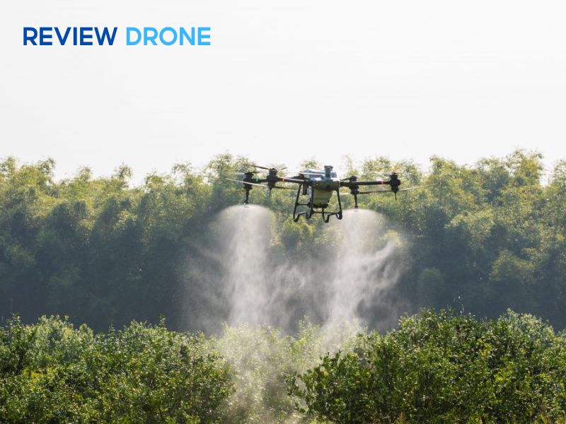 máy bay phun thuốc sầu riêng