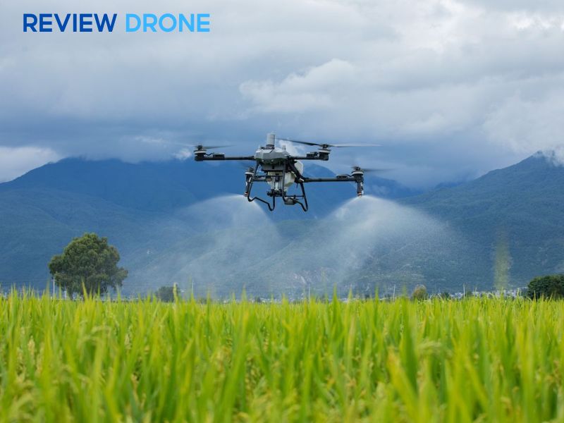 phun thuốc trừ sâu