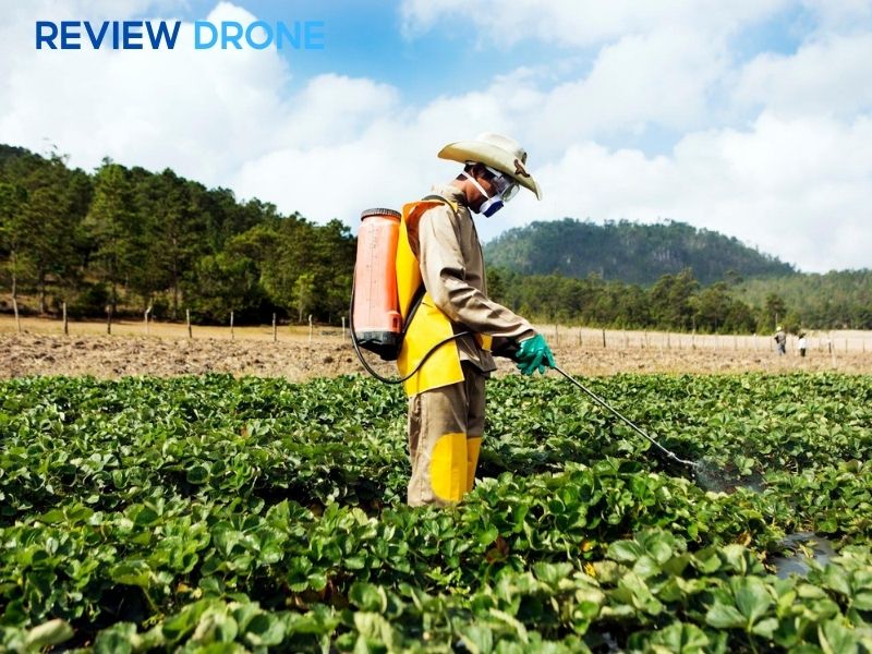 Các sai lầm chết người thường gặp khi phun thuốc Các sai lầm chết người thường gặp khi phun thuốc