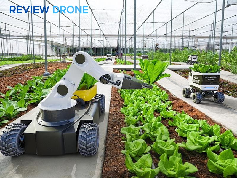 Thách thức và rào cản khi triển khai tại Việt Nam