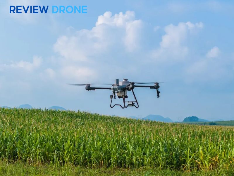 Ưu điểm và nhược điểm của DJI Agras T25P