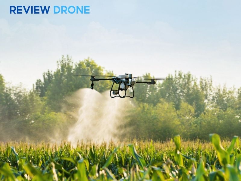 Quản lý nước và phân bón sau khi gieo sạ Quản lý nước và phân bón sau khi gieo sạ