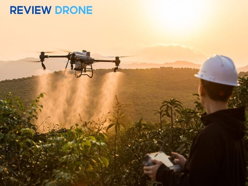 dịch vụ phun thuốc trừ sâu 