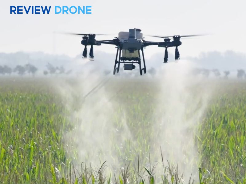 máy bay phun thuốc cây cam