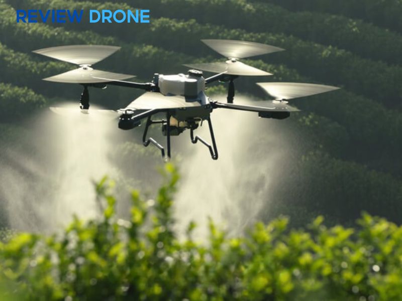 máy bay phun thuốc cây cam