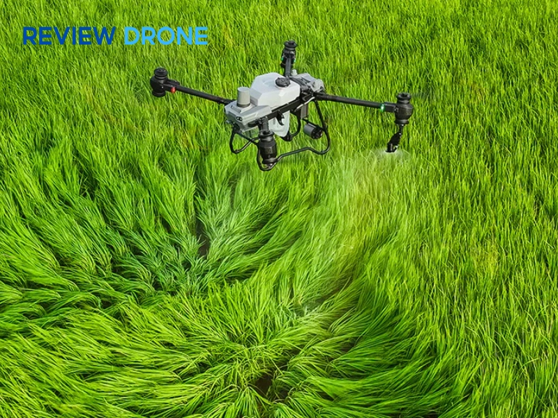 Giá cả và lựa chọn mua DJI Agras T50