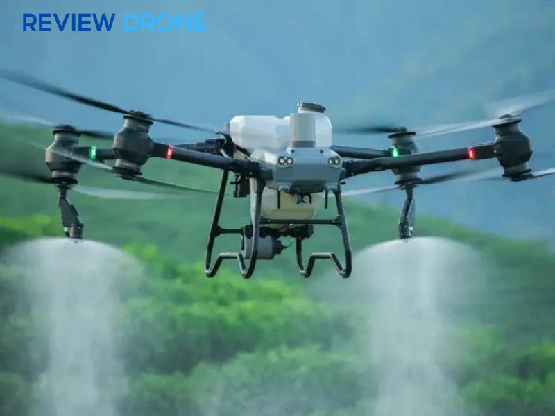 phun thuốc trừ sâu