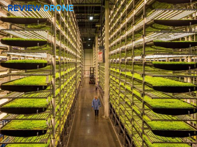 mô hình sản xuất nông nghiệp công nghệ cao