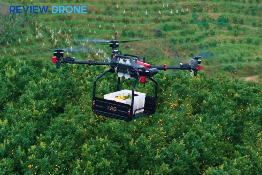 So sánh DJI Agras T100 và XAG P150: Khác Biệt Gì?