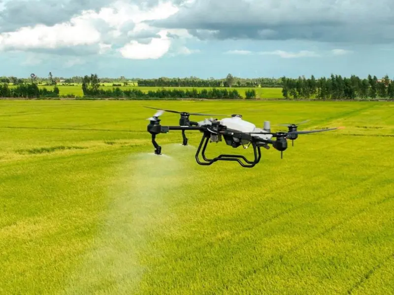 kỹ thuật chăm sóc lúa j02