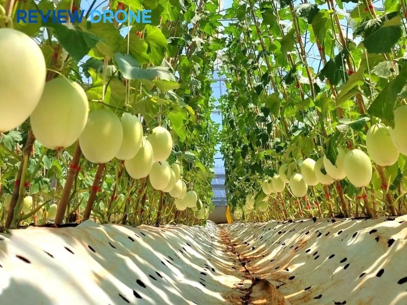 Quy trình 5 bước xây dựng mô hình hữu cơ đạt chuẩn Quy trình 5 bước xây dựng mô hình hữu cơ đạt chuẩn