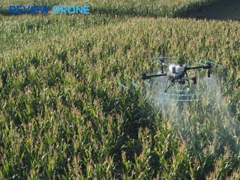 cách sử dụng dji agras t25