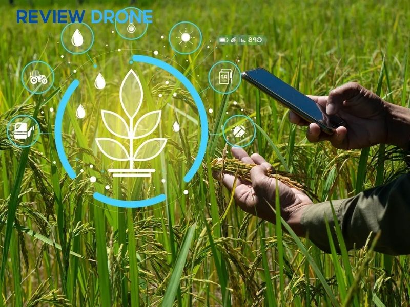 Lợi ích và thách thức khi áp dụng