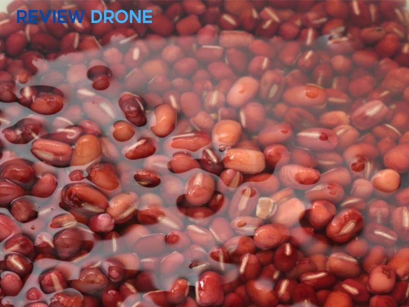 cách gieo hạt đậu đỏ cách gieo hạt đậu đỏ