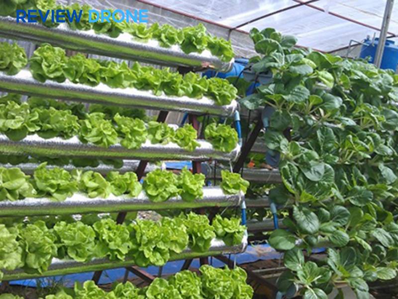 mô hình nông nghiệp công nghệ cao