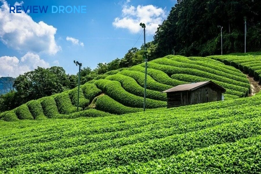 Nông nghiệp sinh thái là gì? Khái niệm & Mô hình chuẩn