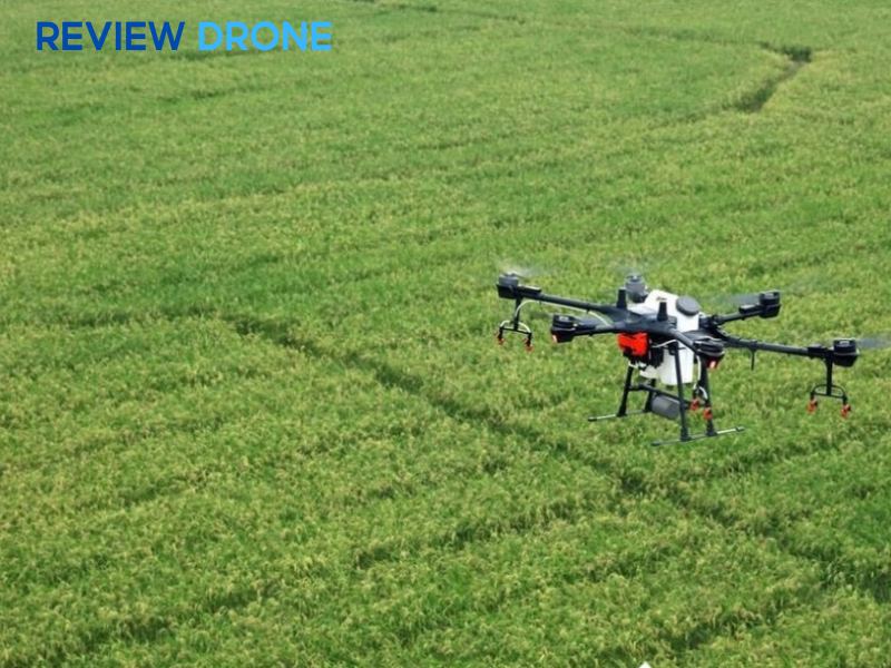 Khi nào nên đầu tư máy phun thuốc lúa công suất lớn?