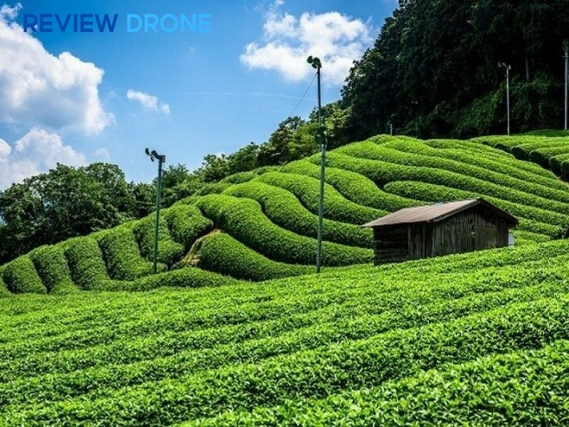 nông nghiệp sinh thái