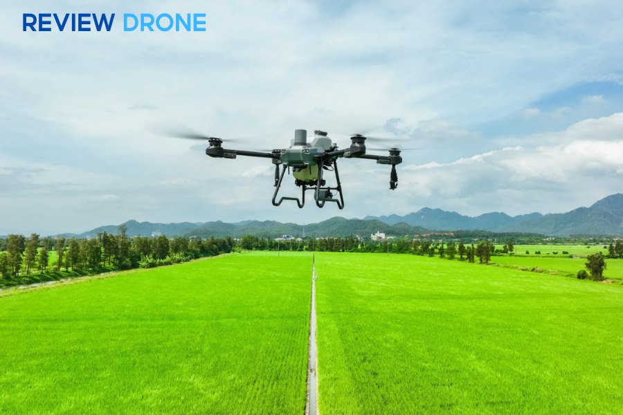So sánh DJI Agras T50 và T25: Nên chọn drone nào?