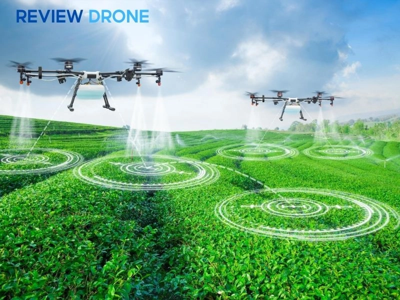 nông nghiệp chính xác