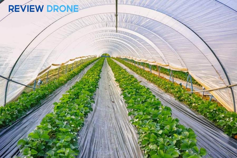 Top 5 Mô Hình Nông Nghiệp Công Nghệ Cao Hiệu Quả Nhất