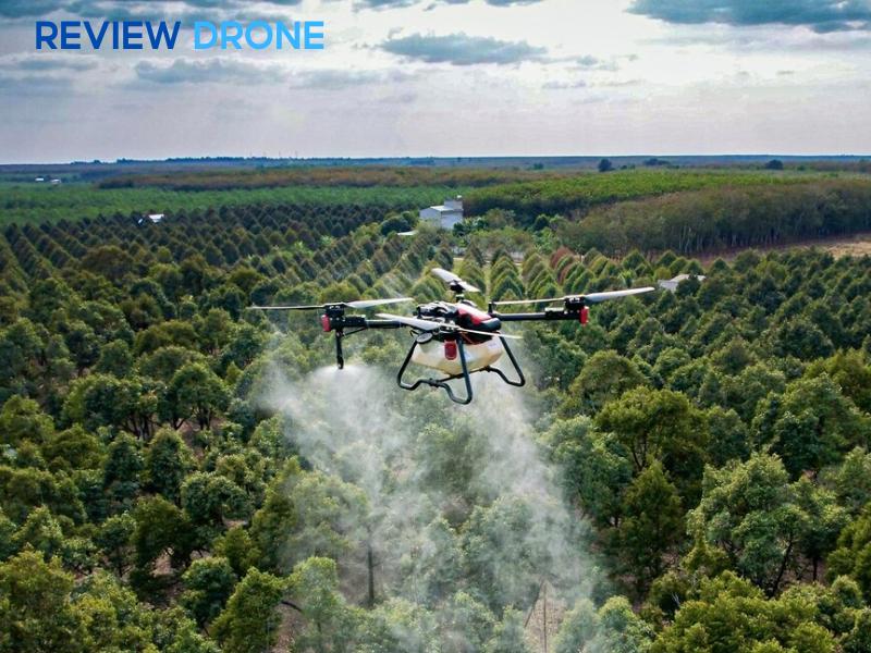 máy phun thuốc sầu riêng