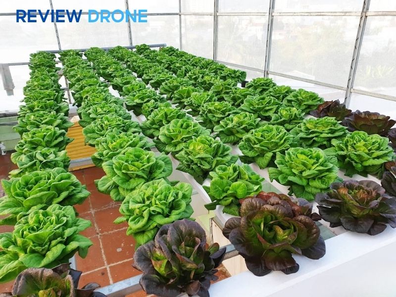 mô hình trồng trọt hữu cơ mô hình trồng trọt hữu cơ