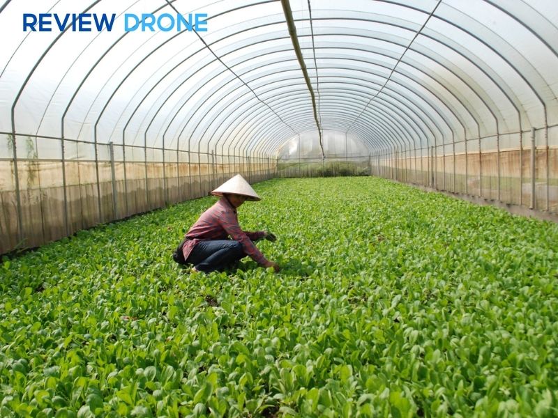 mô hình trồng trọt hữu cơ mô hình trồng trọt hữu cơ