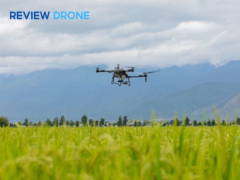 Độ đồng đều vật liệu Độ đồng đều vật liệu