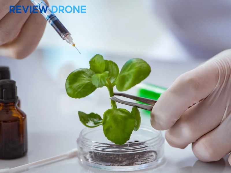 nông nghiệp công nghệ cao