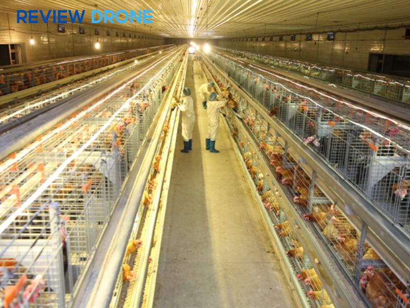 công nghệ cao trong nông nghiệp