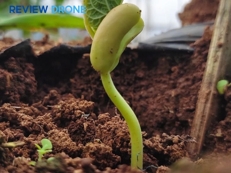 Lịch trình chăm sóc định kỳ Lịch trình chăm sóc định kỳ