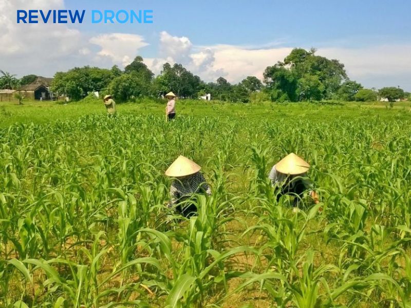 Các lưu ý an toàn và rủi ro cần tránh