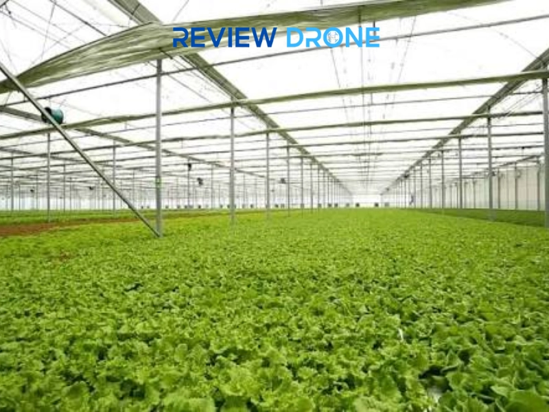 Mô hình sản xuất nông nghiệp sinh thái & Ứng dụng drone
