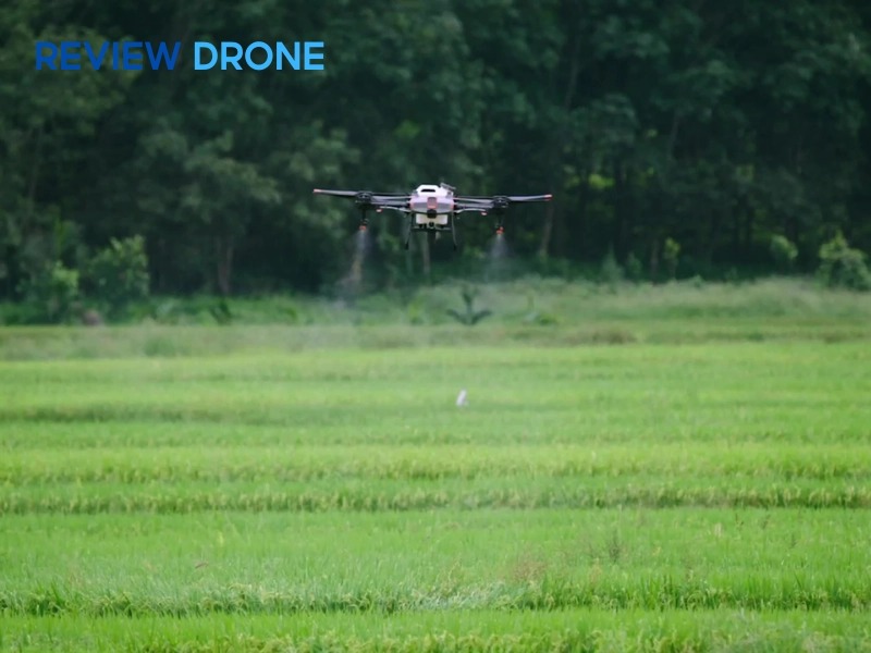 Chi phí bảo trì và khấu hao thiết bị