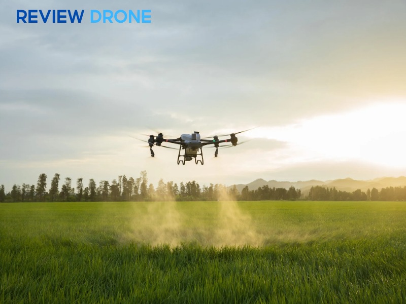 so sánh dji agras t50 và dji agras t25