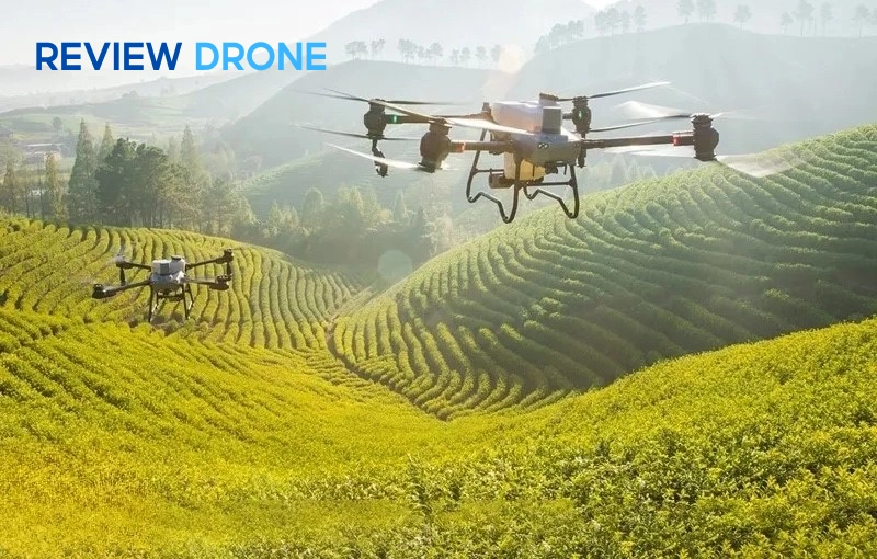 Chi phí đầu tư và hiệu quả kinh tế của máy bay nông nghiệp 