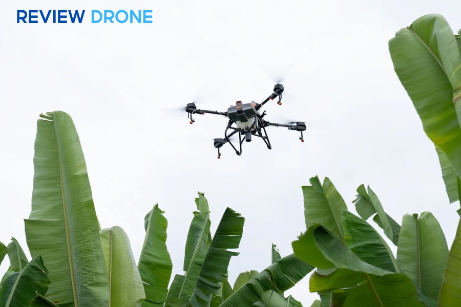 Hướng Dẫn Sử Dụng DJI Agras T10 An Toàn, Hiệu Quả