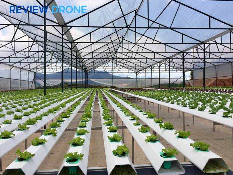 mô hình nông nghiệp công nghệ cao