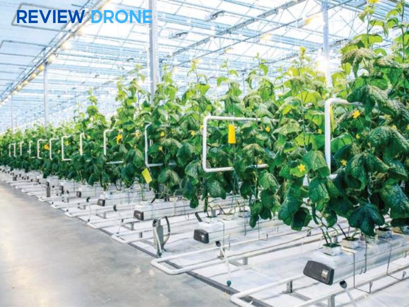 công nghệ cao trong trồng trọt