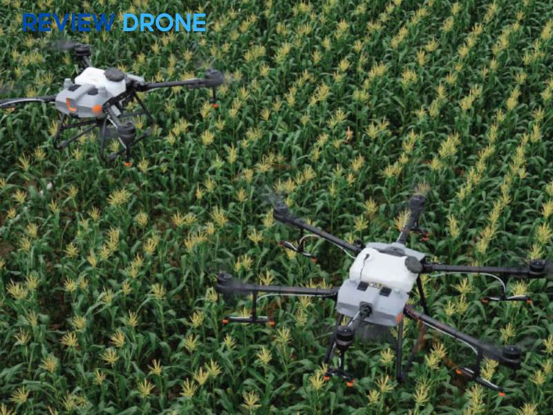 dji agras t10 review dji agras t10 review