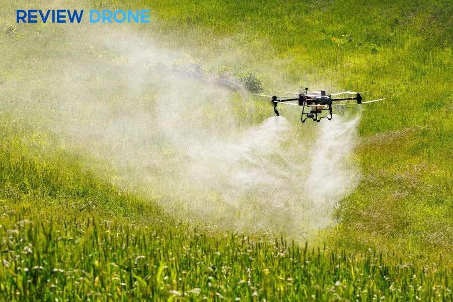 Nên phun thuốc trừ sâu vào lúc nào? 3 thời điểm tốt nhất