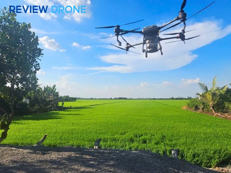 xin phép sử dụng máy bay phun thuốc trừ sâu