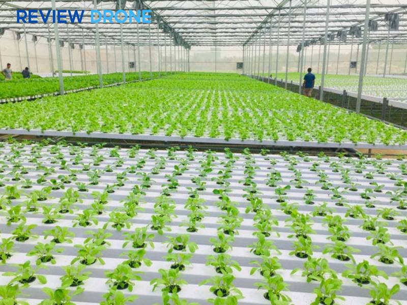 nông nghiệp công nghệ cao